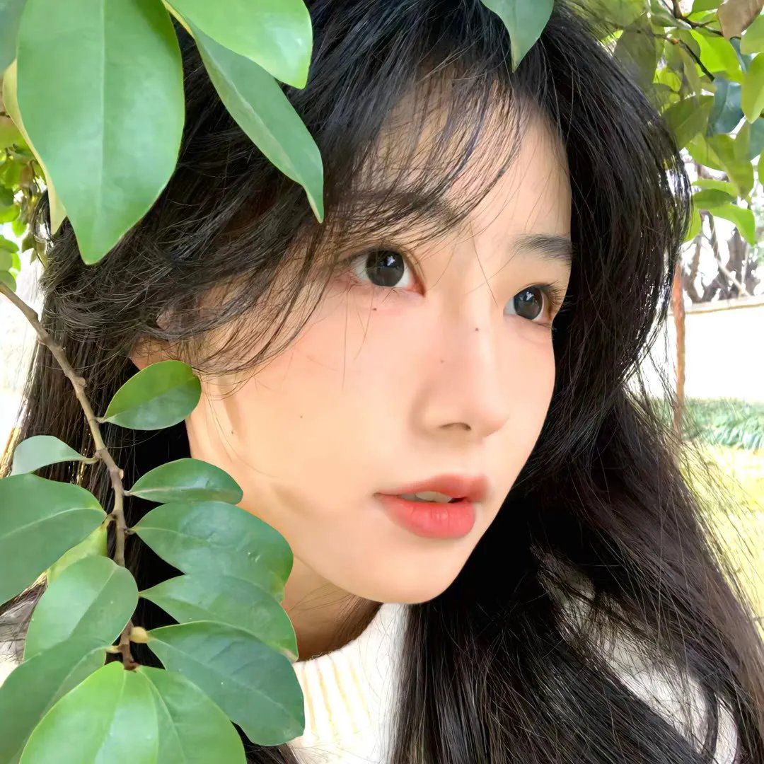 走私犯